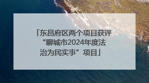 东昌府区两个项目获评“聊城市2024年度法治为民实事”项目