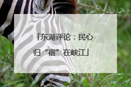 东湖评论：民心归“宿”在峡江
