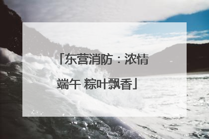 东营消防：浓情端午 粽叶飘香