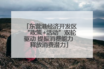 东营港经济开发区“政策+活动”双轮驱动 提振消费能力 释放消费潜力