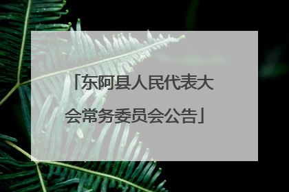 东阿县人民代表大会常务委员会公告
