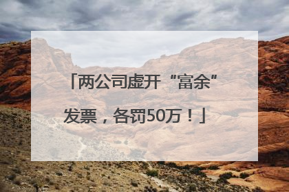 两公司虚开“富余”发票，各罚50万！