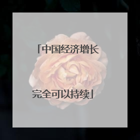 中国经济增长完全可以持续