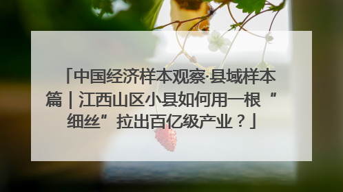 中国经济样本观察·县域样本篇｜江西山区小县如何用一根“细丝”拉出百亿级产业？