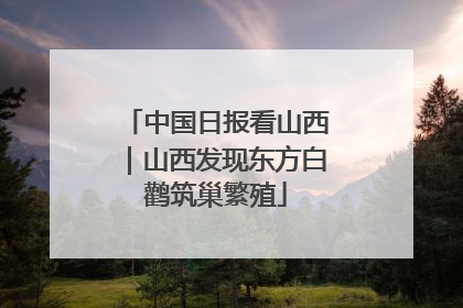 中国日报看山西｜山西发现东方白鹳筑巢繁殖