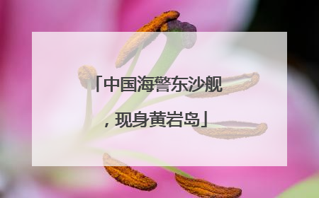 中国海警东沙舰，现身黄岩岛