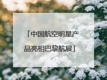 中国航空明星产品亮相巴黎航展
