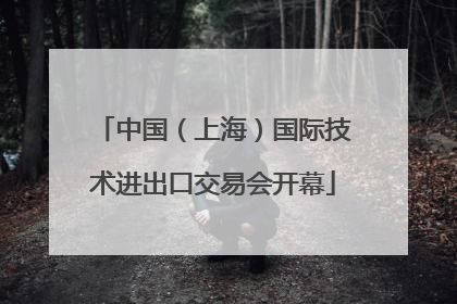 中国（上海）国际技术进出口交易会开幕