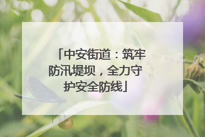中安街道：筑牢防汛堤坝，全力守护安全防线