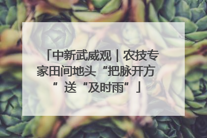 中新武威观｜农技专家田间地头“把脉开方”送“及时雨”