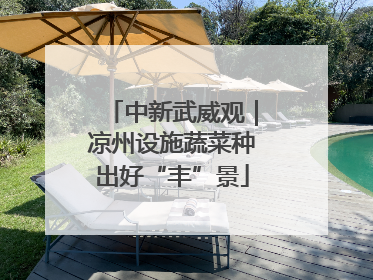 中新武威观｜凉州设施蔬菜种出好“丰”景