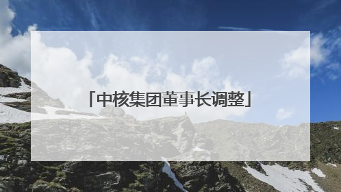 中核集团董事长调整