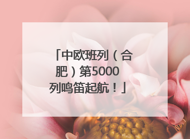 中欧班列（合肥）第5000列鸣笛起航！