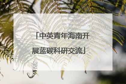 中英青年海南开展蓝碳科研交流