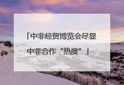 中非经贸博览会尽显中非合作“热度”
