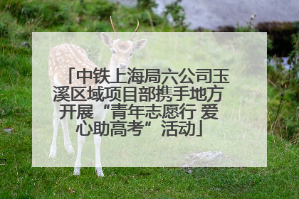 中铁上海局六公司玉溪区域项目部携手地方开展“青年志愿行 爱心助高考”活动