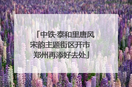 中铁·泰和里唐风宋韵主题街区开市 郑州再添好去处