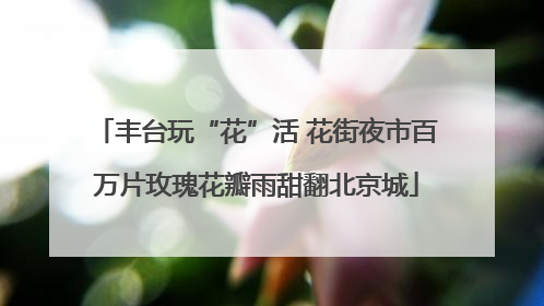 丰台玩“花”活 花街夜市百万片玫瑰花瓣雨甜翻北京城