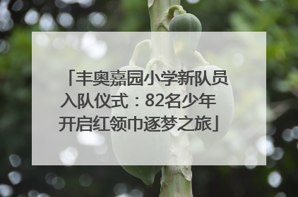 丰奥嘉园小学新队员入队仪式：82名少年开启红领巾逐梦之旅