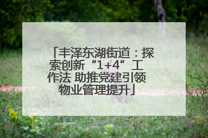 丰泽东湖街道：探索创新“1+4”工作法 助推党建引领物业管理提升
