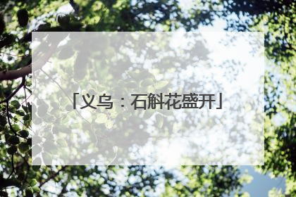 义乌：石斛花盛开