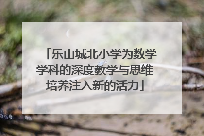 乐山城北小学为数学学科的深度教学与思维培养注入新的活力