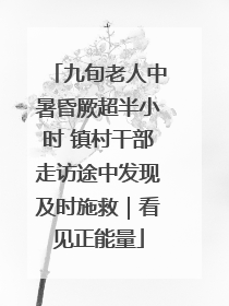 九旬老人中暑昏厥超半小时 镇村干部走访途中发现及时施救｜看见正能量