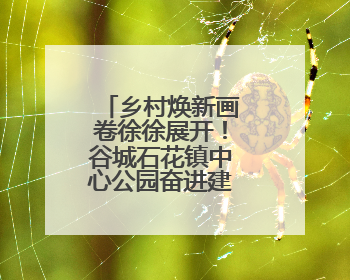 乡村焕新画卷徐徐展开！谷城石花镇中心公园奋进建设初显成效