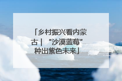 乡村振兴看内蒙古｜“沙漠蓝莓”种出紫色未来