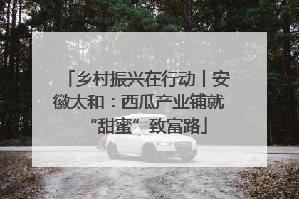 乡村振兴在行动丨安徽太和：西瓜产业铺就“甜蜜”致富路