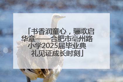 书香润童心，骊歌启华章——合肥市亳州路小学2025届毕业典礼见证成长时刻