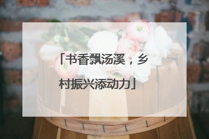 书香飘汤溪，乡村振兴添动力