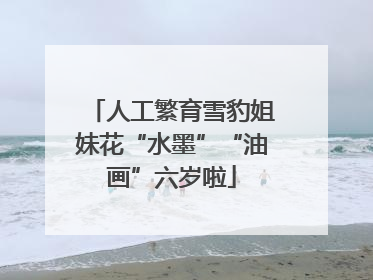 人工繁育雪豹姐妹花“水墨”“油画”六岁啦