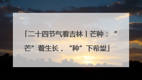 二十四节气看吉林丨芒种：“芒”着生长，“种”下希望