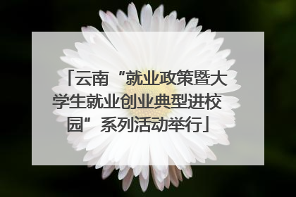 云南“就业政策暨大学生就业创业典型进校园”系列活动举行