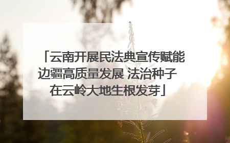 云南开展民法典宣传赋能边疆高质量发展 法治种子在云岭大地生根发芽