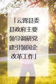 云霄县委县政府主要领导调研党建引领国企改革工作