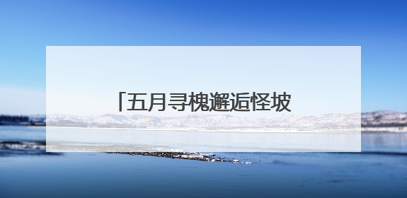五月寻槐邂逅怪坡，沈北新区中医院国潮中医雅集引热潮