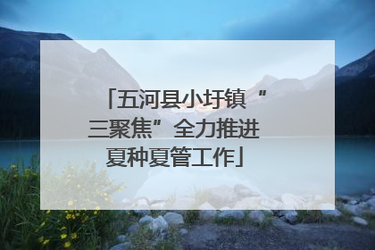 五河县小圩镇“三聚焦”全力推进夏种夏管工作