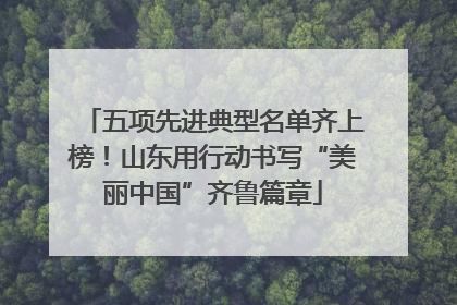 五项先进典型名单齐上榜！山东用行动书写“美丽中国”齐鲁篇章