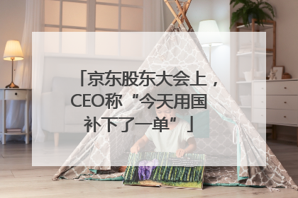 京东股东大会上，CEO称“今天用国补下了一单”