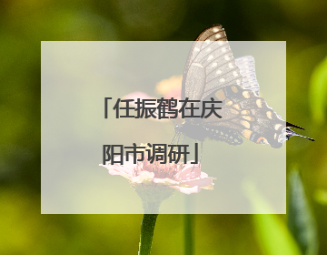 任振鹤在庆阳市调研