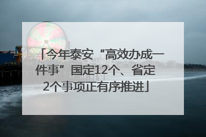 今年泰安“高效办成一件事”国定12个、省定2个事项正有序推进
