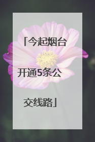 今起烟台开通5条公交线路