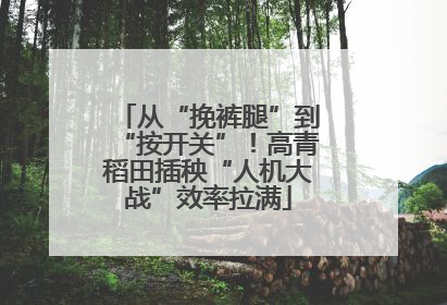 从“挽裤腿”到“按开关”！高青稻田插秧“人机大战”效率拉满