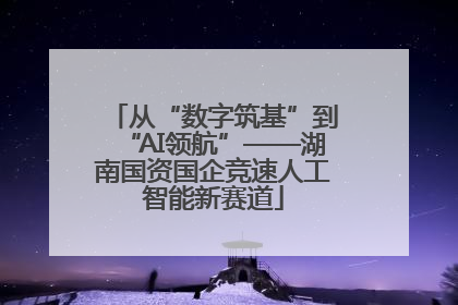 从“数字筑基”到“AI领航”——湖南国资国企竞速人工智能新赛道