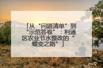 从“问题清单”到“示范答卷”：利通区农业节水整改的“蝶变之路”