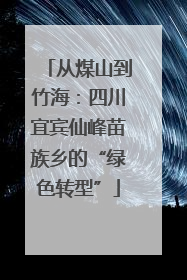 从煤山到竹海：四川宜宾仙峰苗族乡的“绿色转型”