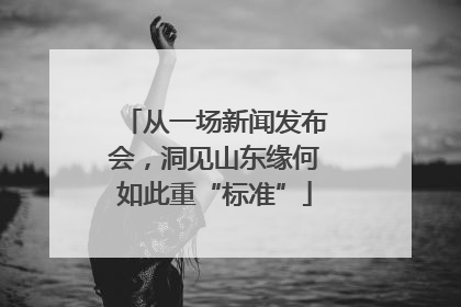 从一场新闻发布会，洞见山东缘何如此重“标准”