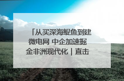 从买深海鳀鱼到建微电网 中企加速掘金非洲现代化｜直击中非经贸博览会